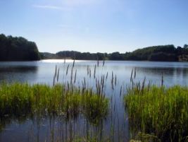 peaceful lake